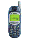 Best available price of Motorola T190 in Bhutan