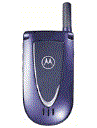 Best available price of Motorola V66i in Bhutan